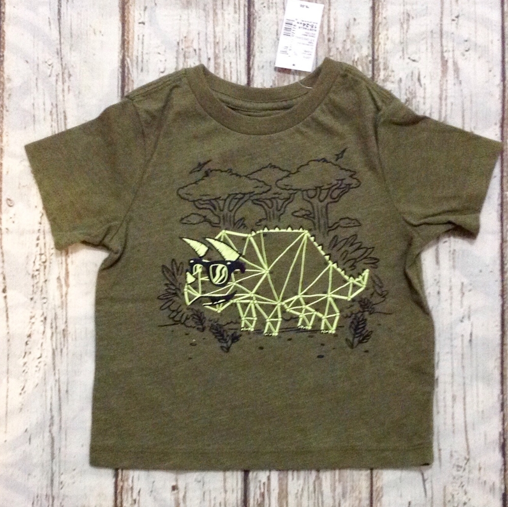 Green Boys Dinosaur T Shirt. NWT